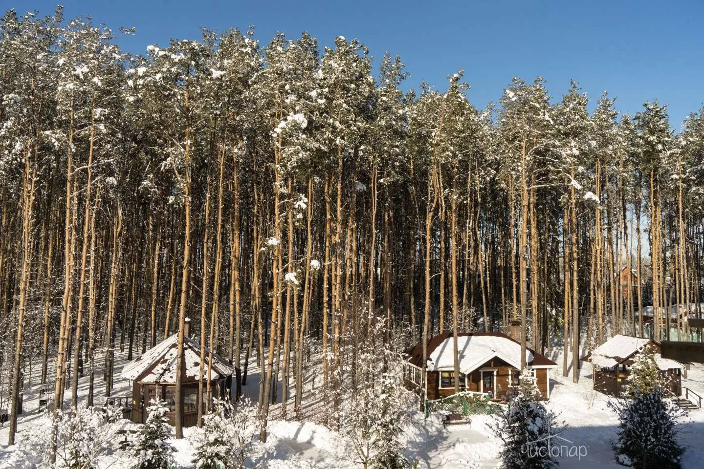 Клуб загородного отдыха «АлександрЪ» - фотография Клуб загородного отдыха «АлександрЪ»
