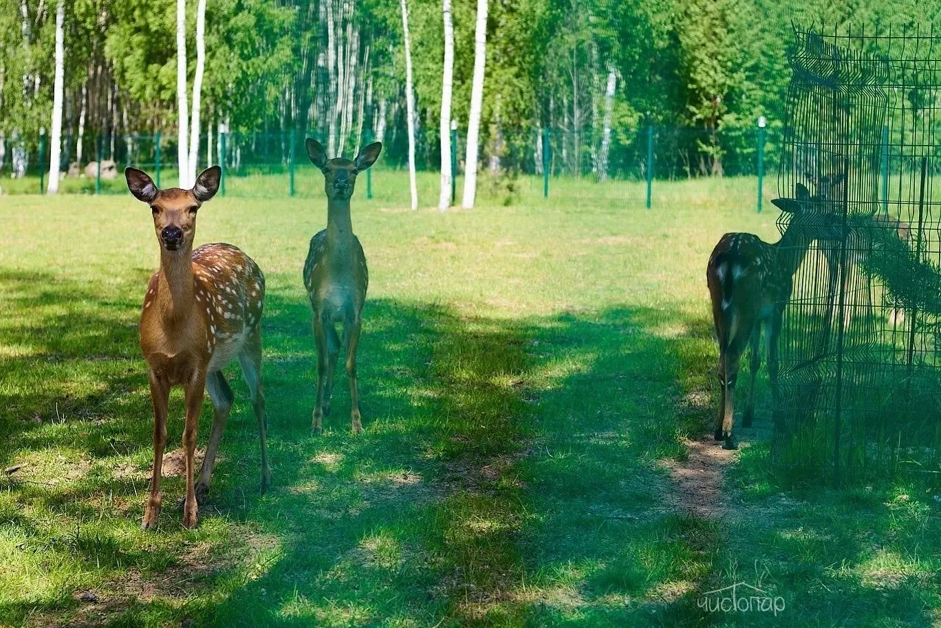 Эко-отель «Панорама» - фотография Эко-отель «Панорама»