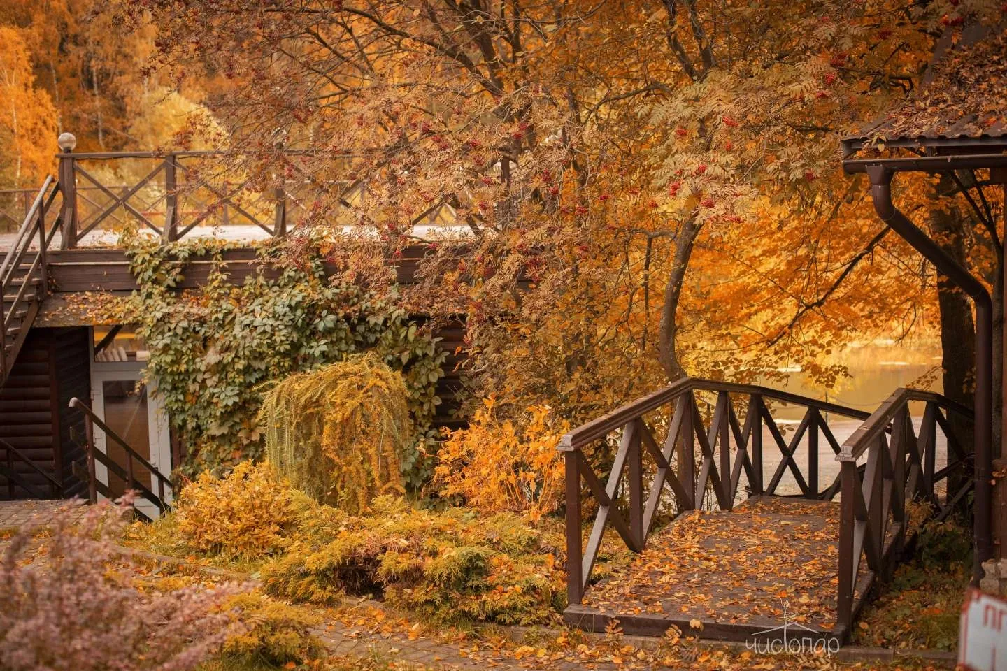 Атлас Парк Отель - фотография Атлас Парк Отель