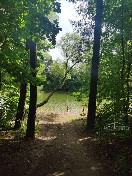 Дача на Истре - фото 21