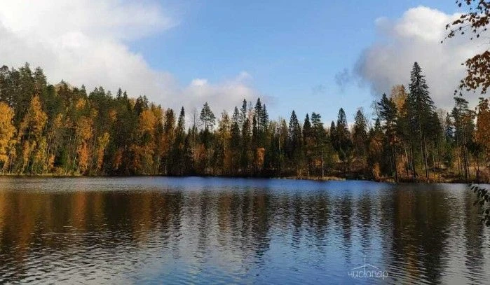 Скидка по промокоду "Осень"