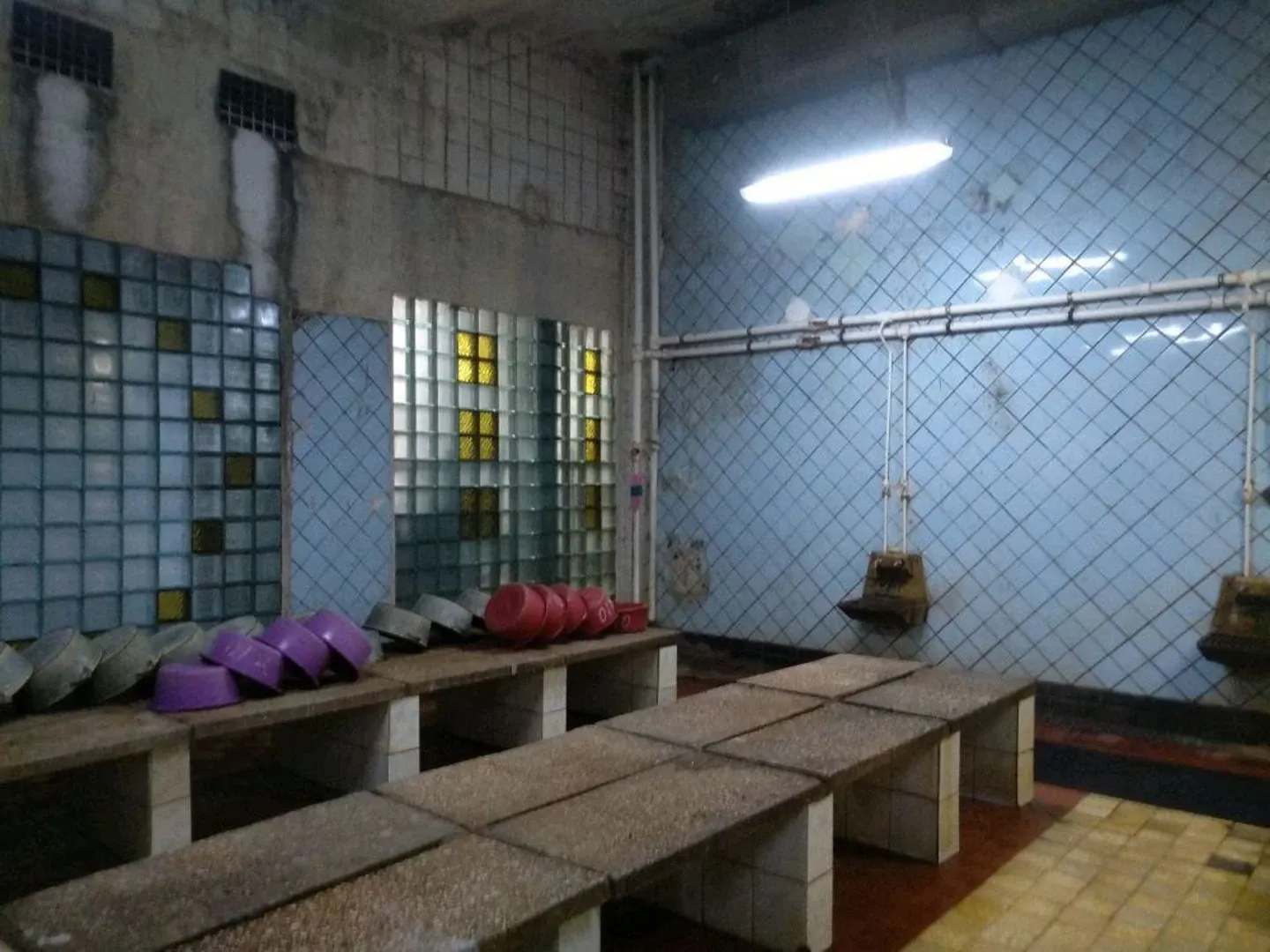 tariff Русская парная