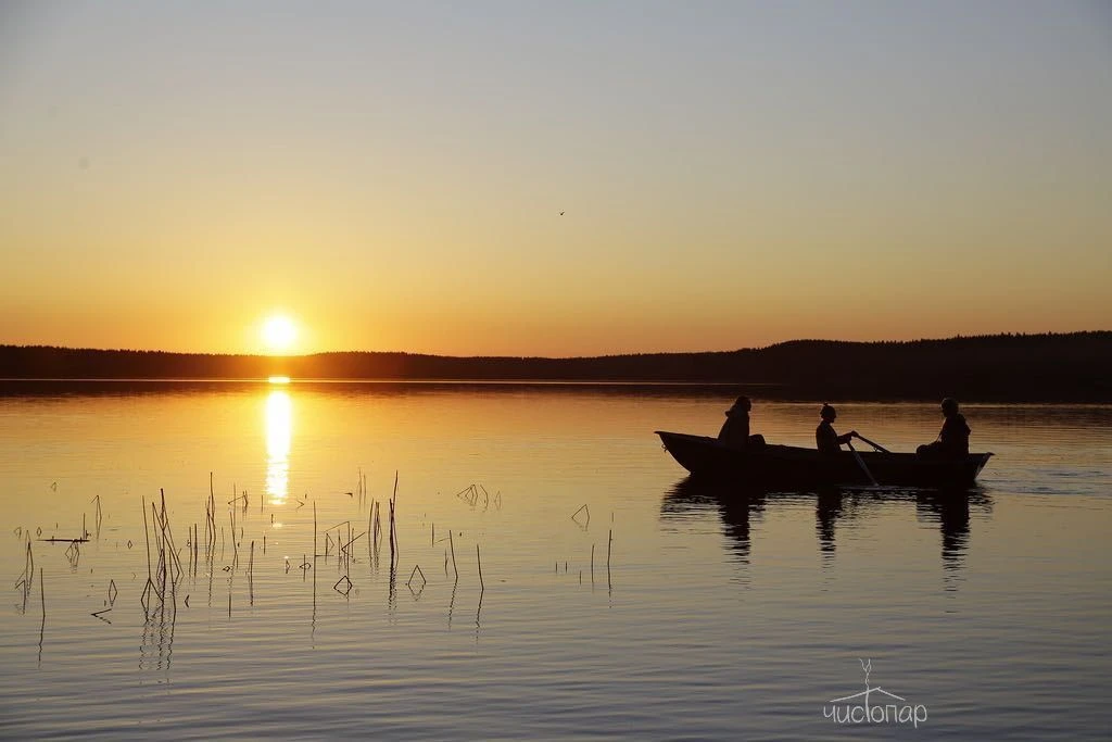 Эко-отель "ЛЕС" - фото 7
