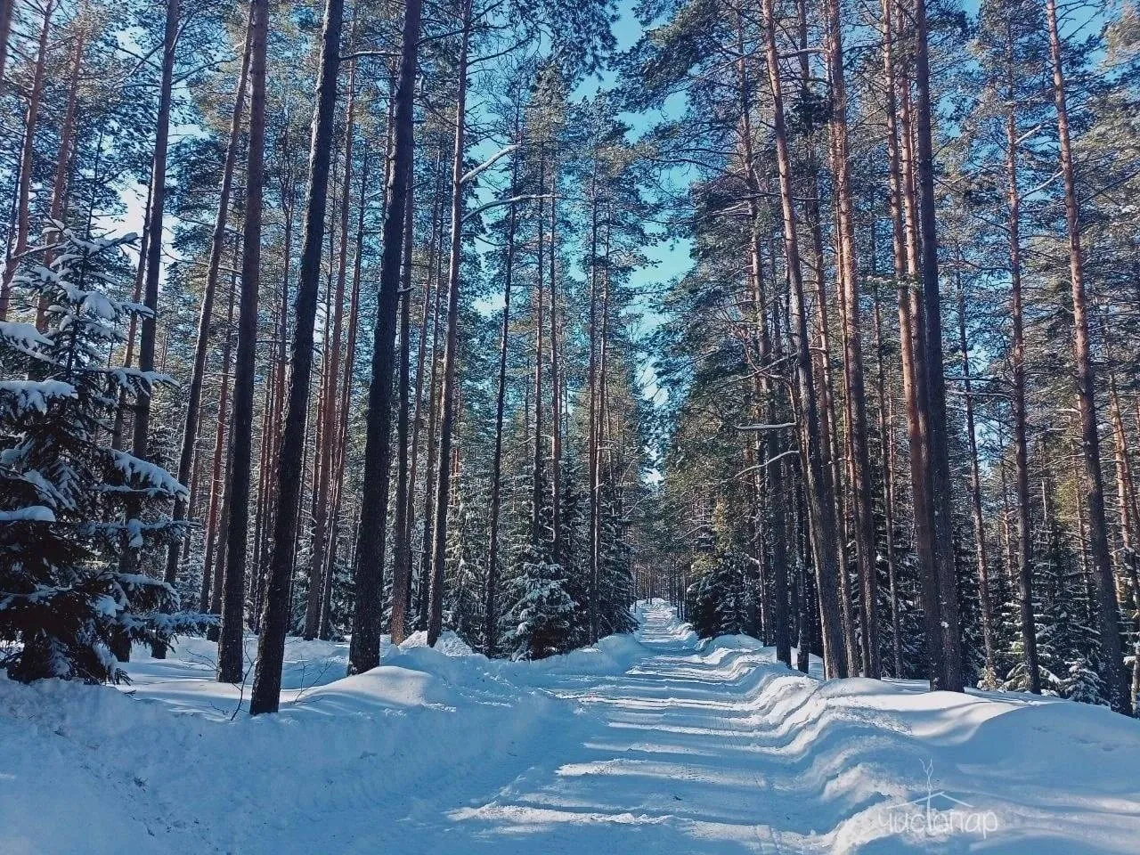 Эко-отель "ЛЕС" - фотография Эко-отель "ЛЕС"