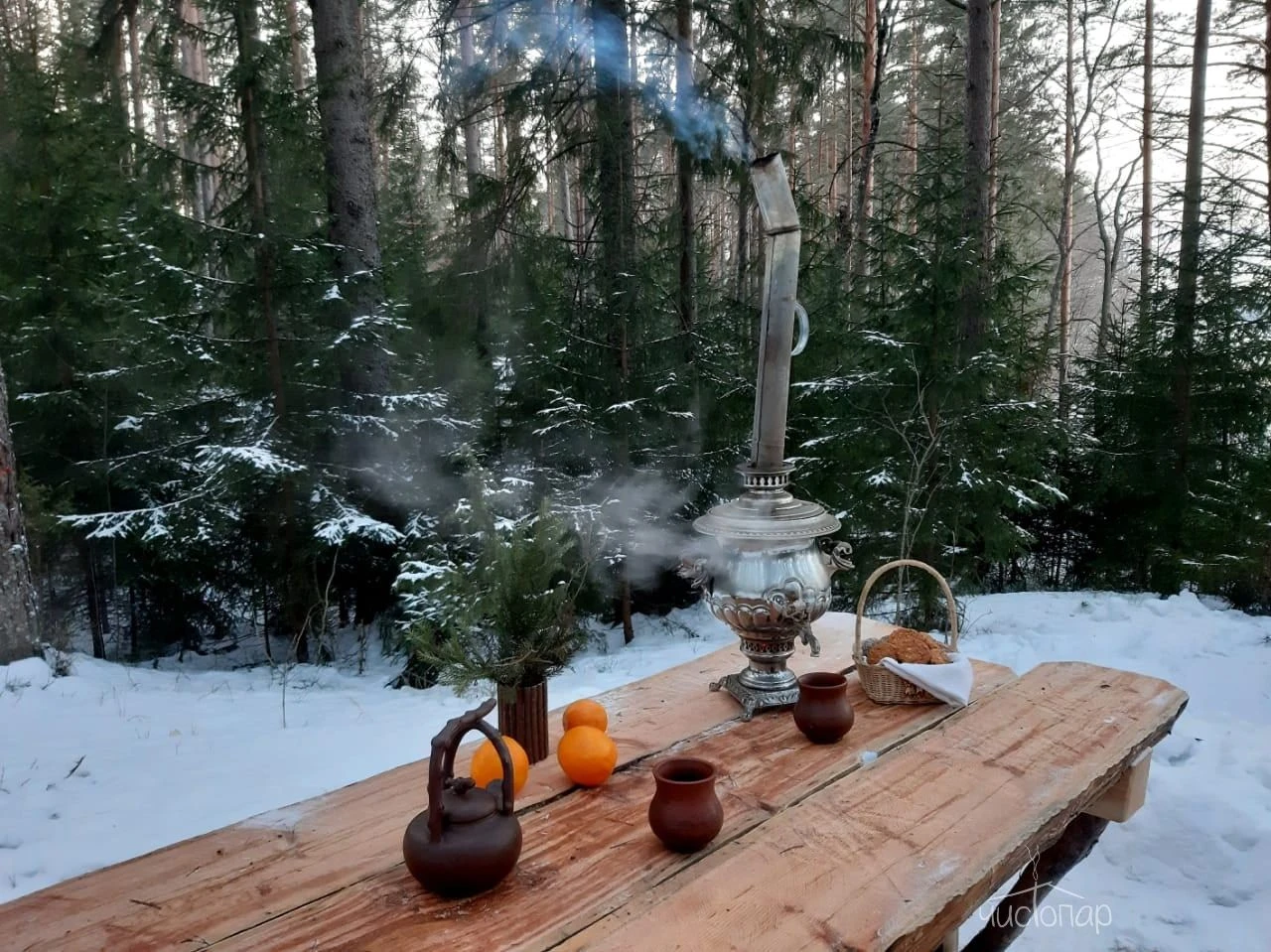 Эко-отель "ЛЕС" - фото 15