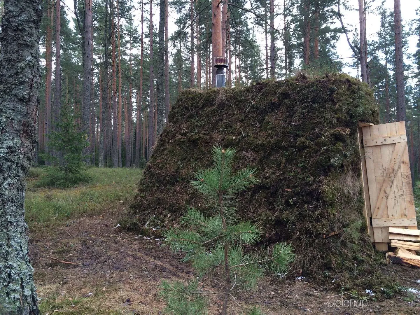 Эко-отель "ЛЕС" - фотография Эко-отель "ЛЕС"