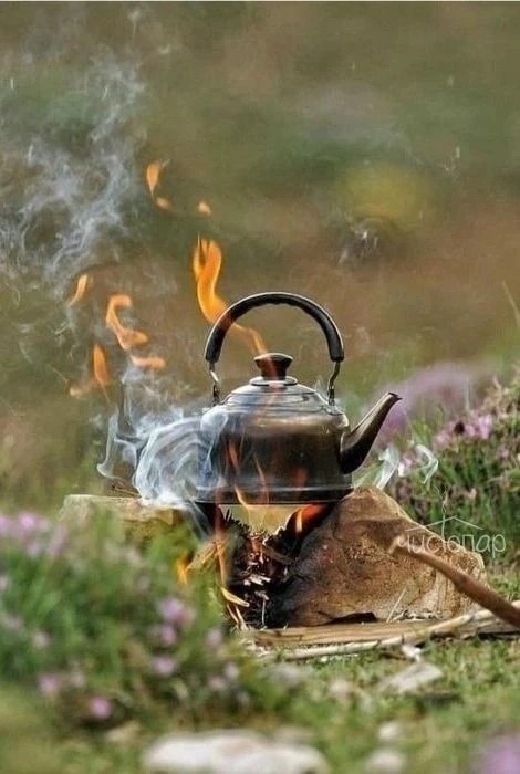 Эко-отель "ЛЕС" - фото 40