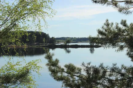 Усадьба Мёдуша - фото 19