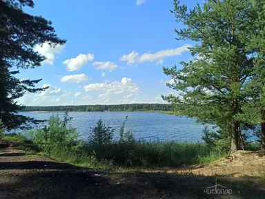 Усадьба Мёдуша - фото 20