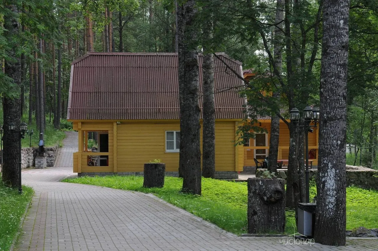 Загородный клуб «Ромашка» - фотография Загородный клуб «Ромашка»