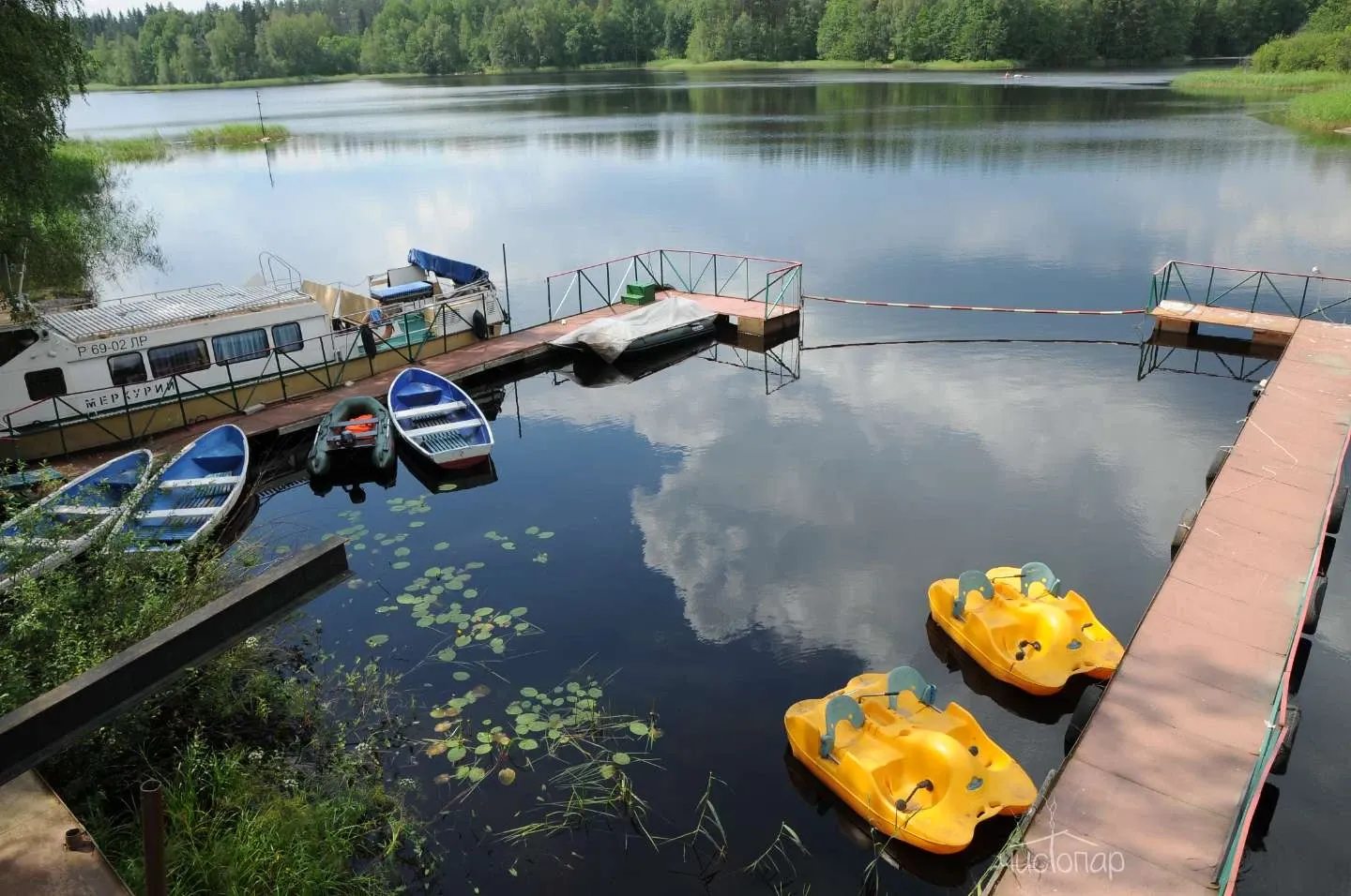 Загородный клуб «Ромашка» - фотография Загородный клуб «Ромашка»
