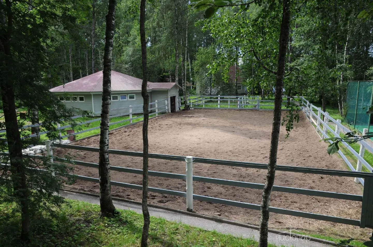 Загородный клуб «Ромашка» - фотография Загородный клуб «Ромашка»