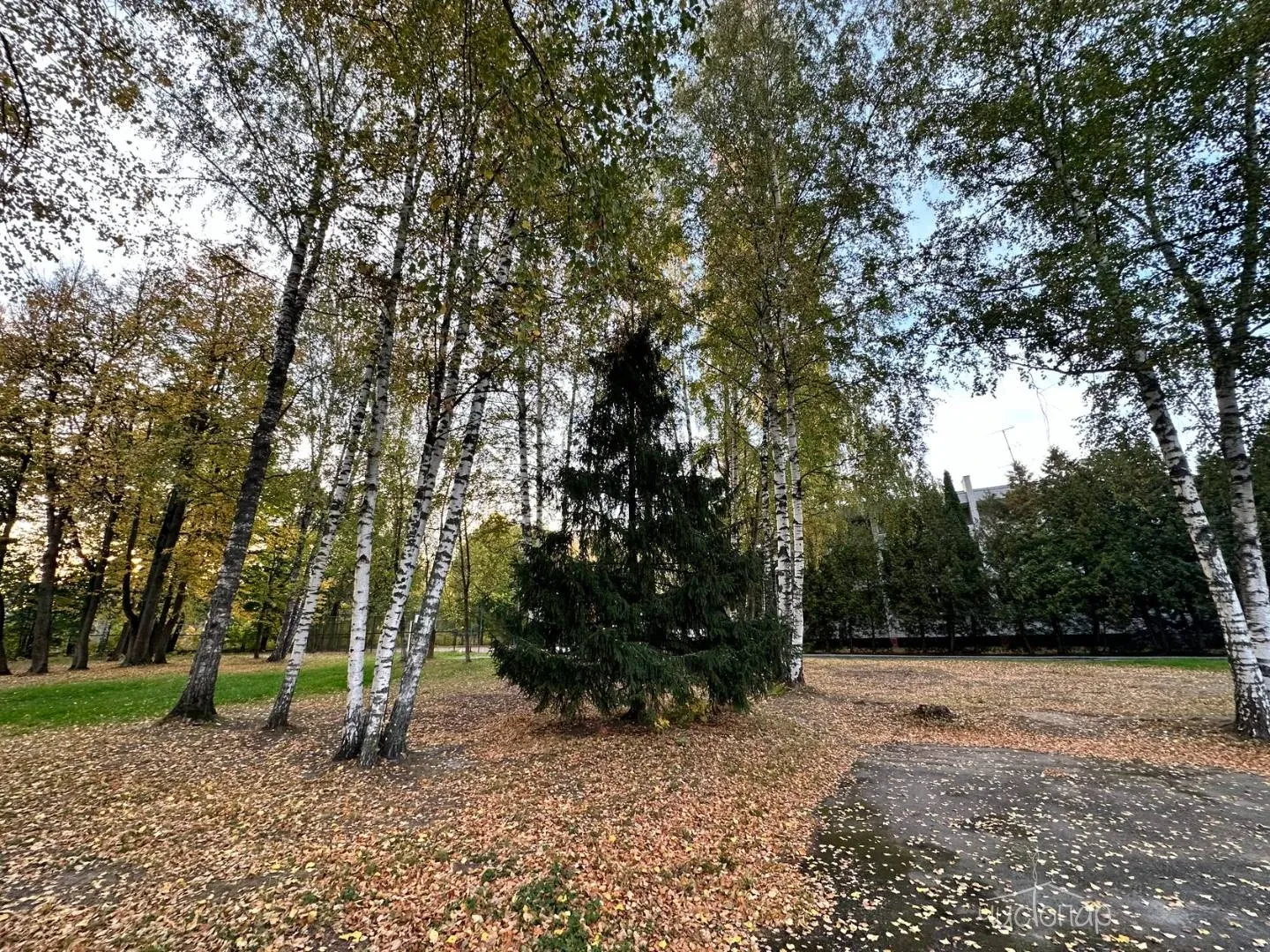 Загородный отель "Лесные поляны" - фотография Загородный отель "Лесные поляны"