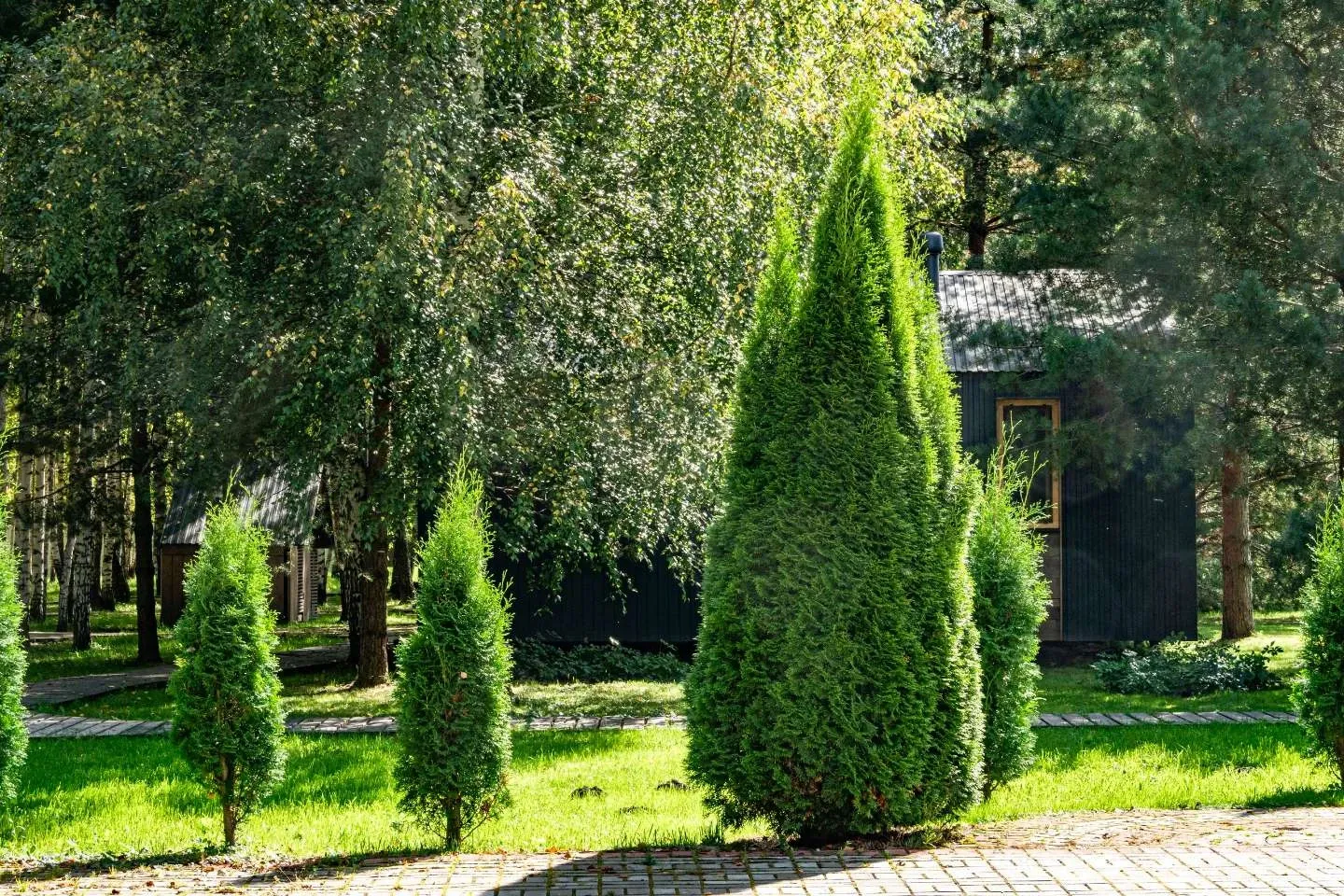 Эко-отель «Панорама» - фотография Эко-отель «Панорама»
