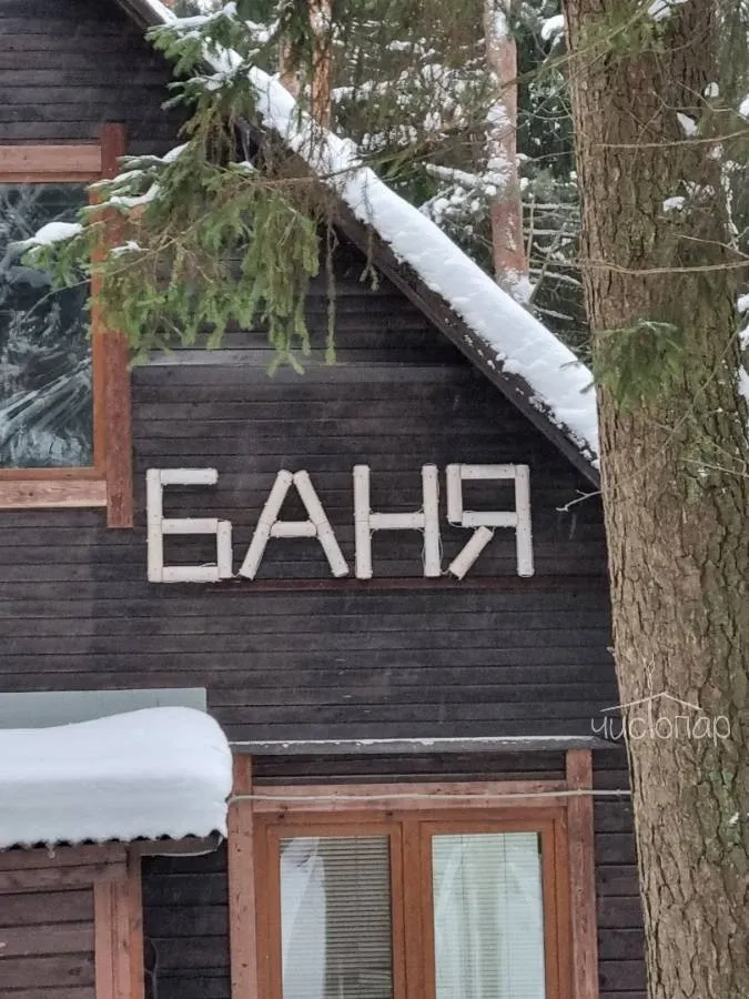 Зола и Дёготь - фотография Зола и Дёготь
