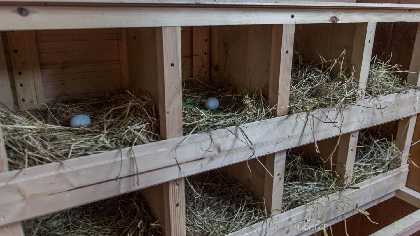 Самая Ладога - фото 39