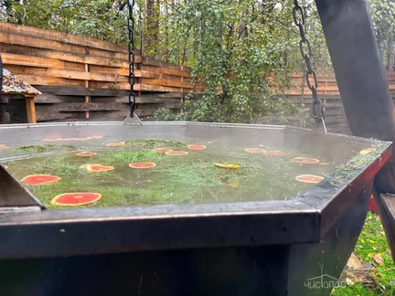 Банный курорт "Гуси-Лебеди" - фото 7