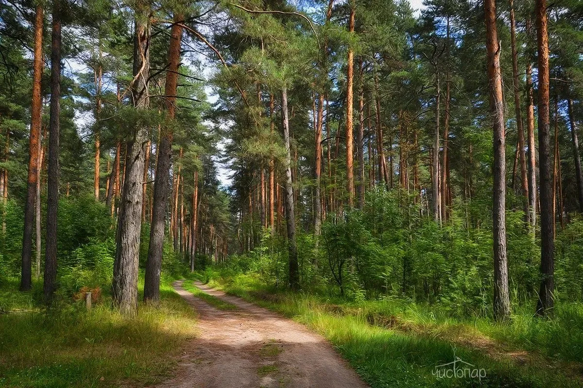 Глэмпинг Berloga Country Resort