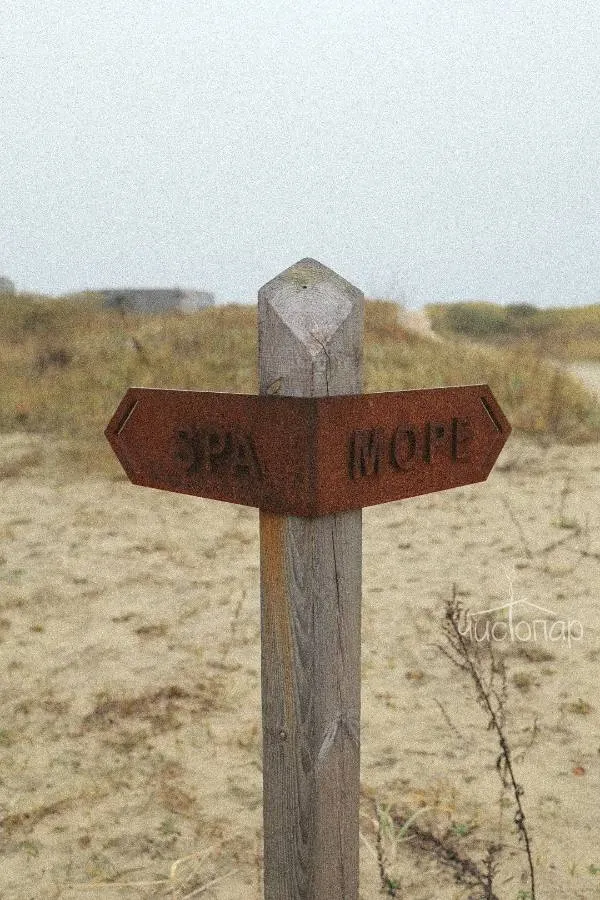 Nordic Spa - фотография Nordic Spa