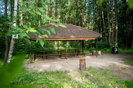 Банный курорт "Гуси-Лебеди" - фото 29