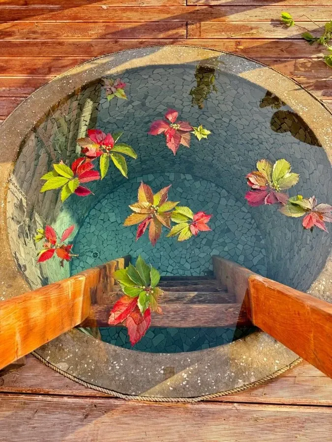 tariff Кедровая баня "Община" детский