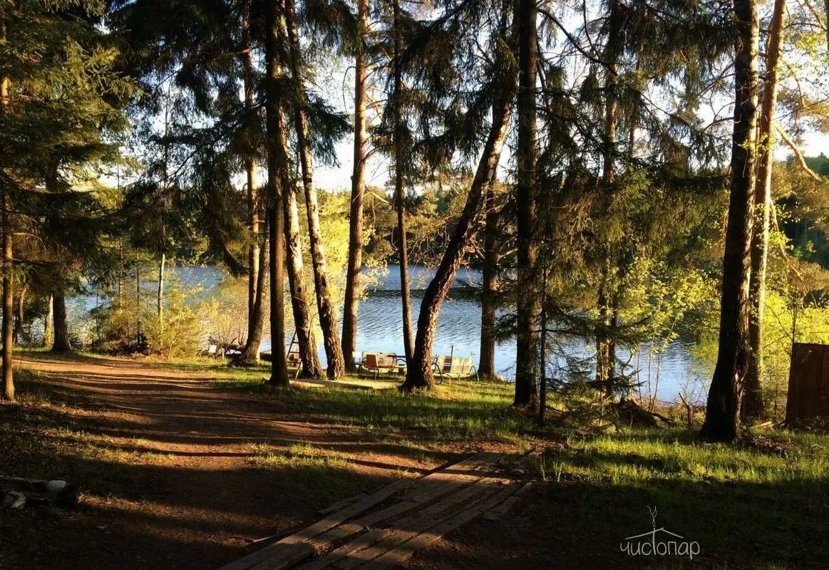 Эко-отель Крафт Хаус Тайга - фотография Эко-отель Крафт Хаус Тайга
