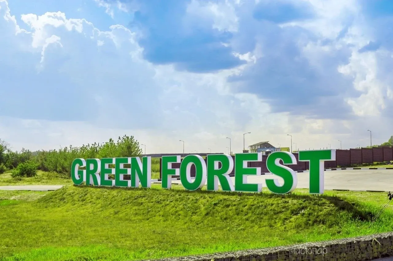 Garnet Holiday Green Forest - фотография Garnet Holiday Green Forest