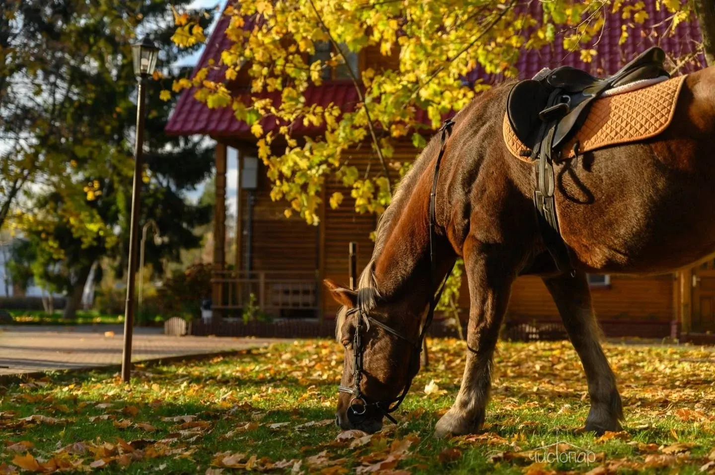 Эко-отель «ВКС-Кантри» - фотография Эко-отель «ВКС-Кантри»