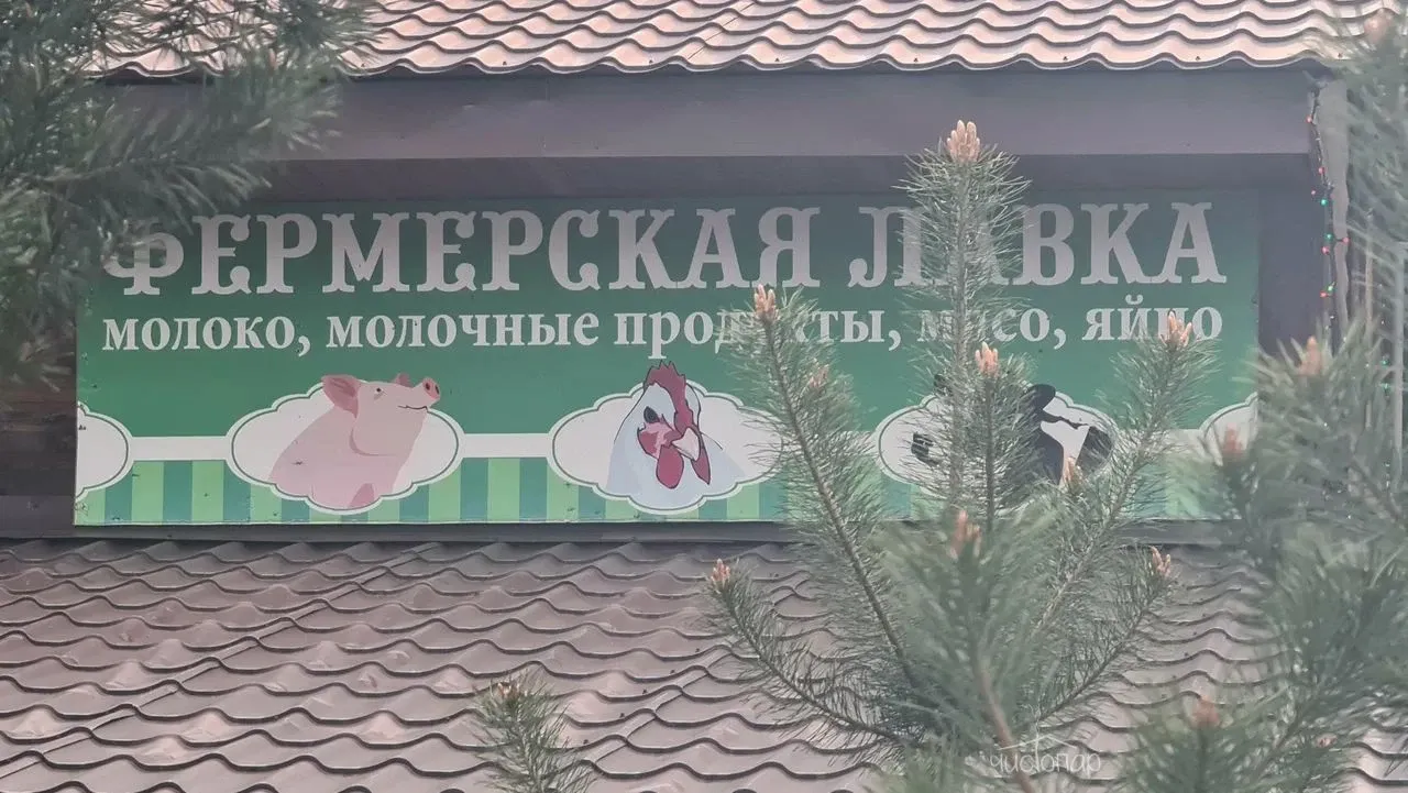 ПАРК-ОТЕЛЬ «ЭКОДЕРЕВНЯ БАБИНДВОР» - фотография ПАРК-ОТЕЛЬ «ЭКОДЕРЕВНЯ БАБИНДВОР»