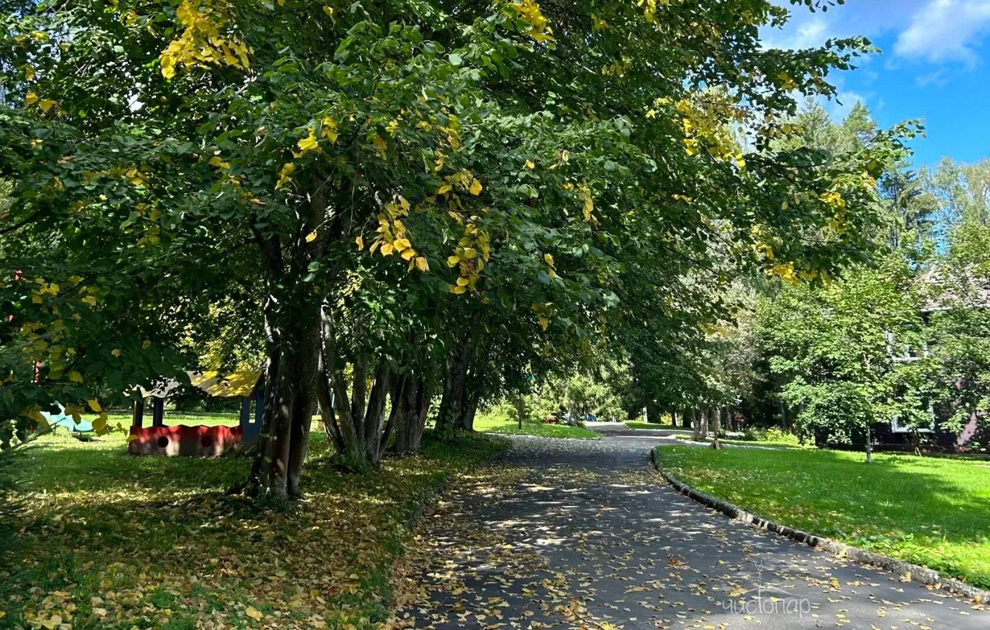 Эко-комплекс Парус Руза - фотография Эко-комплекс Парус Руза