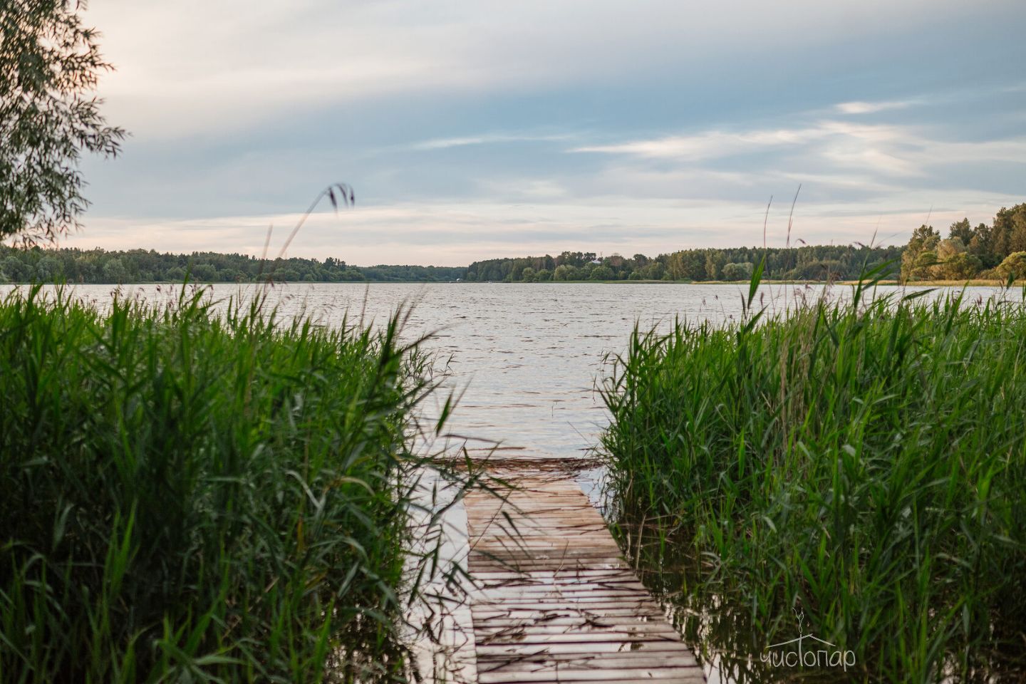 Глэмпинг «Берег Желаний» - фото 13