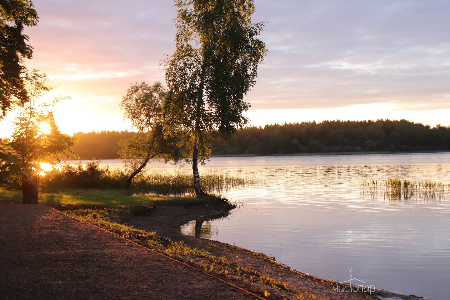 Глэмпинг «Берег Желаний» - фото 34