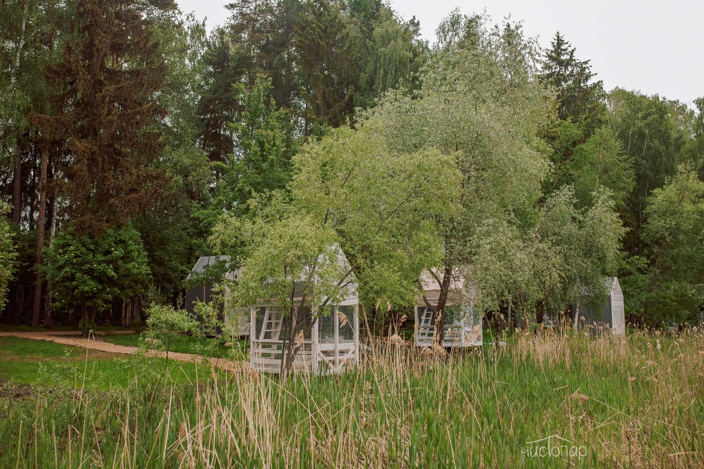 Глэмпинг «Берег Желаний» - фото 40