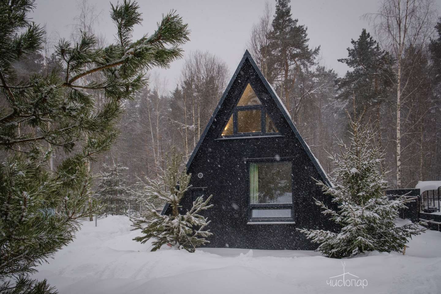 Глэмпинг "А в лесу" - фото 1