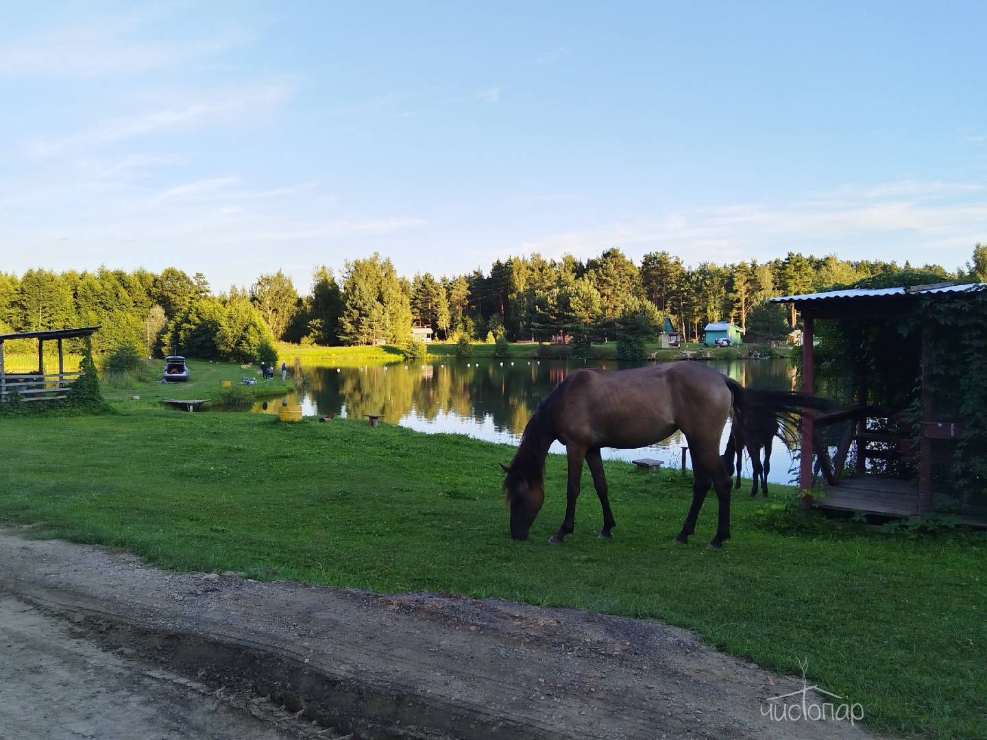 Глэмпинг "А в лесу" - фото 22