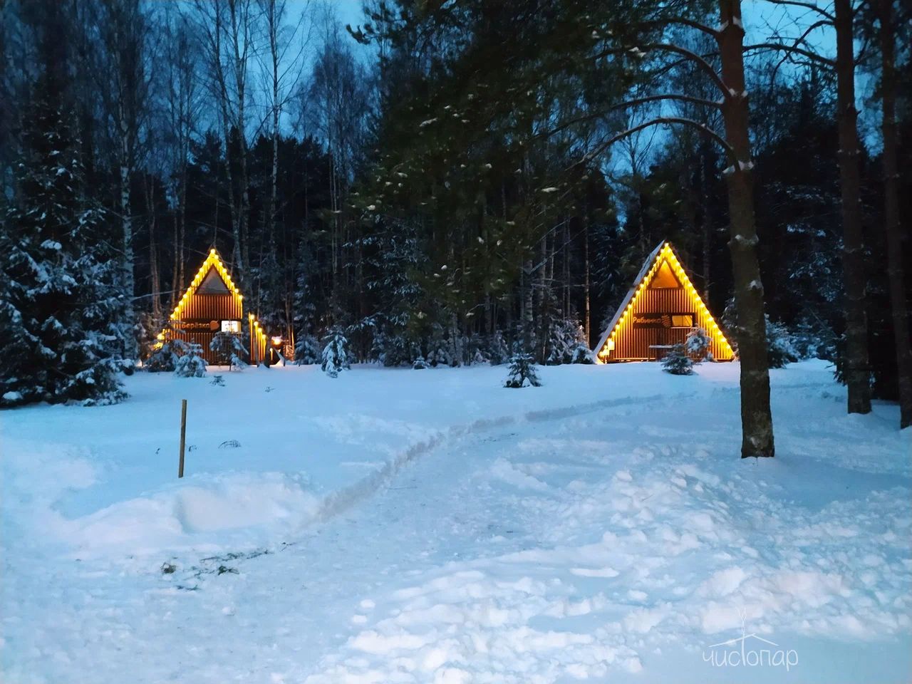 Глэмпинг «Под кронами» - фотография Глэмпинг «Под кронами»