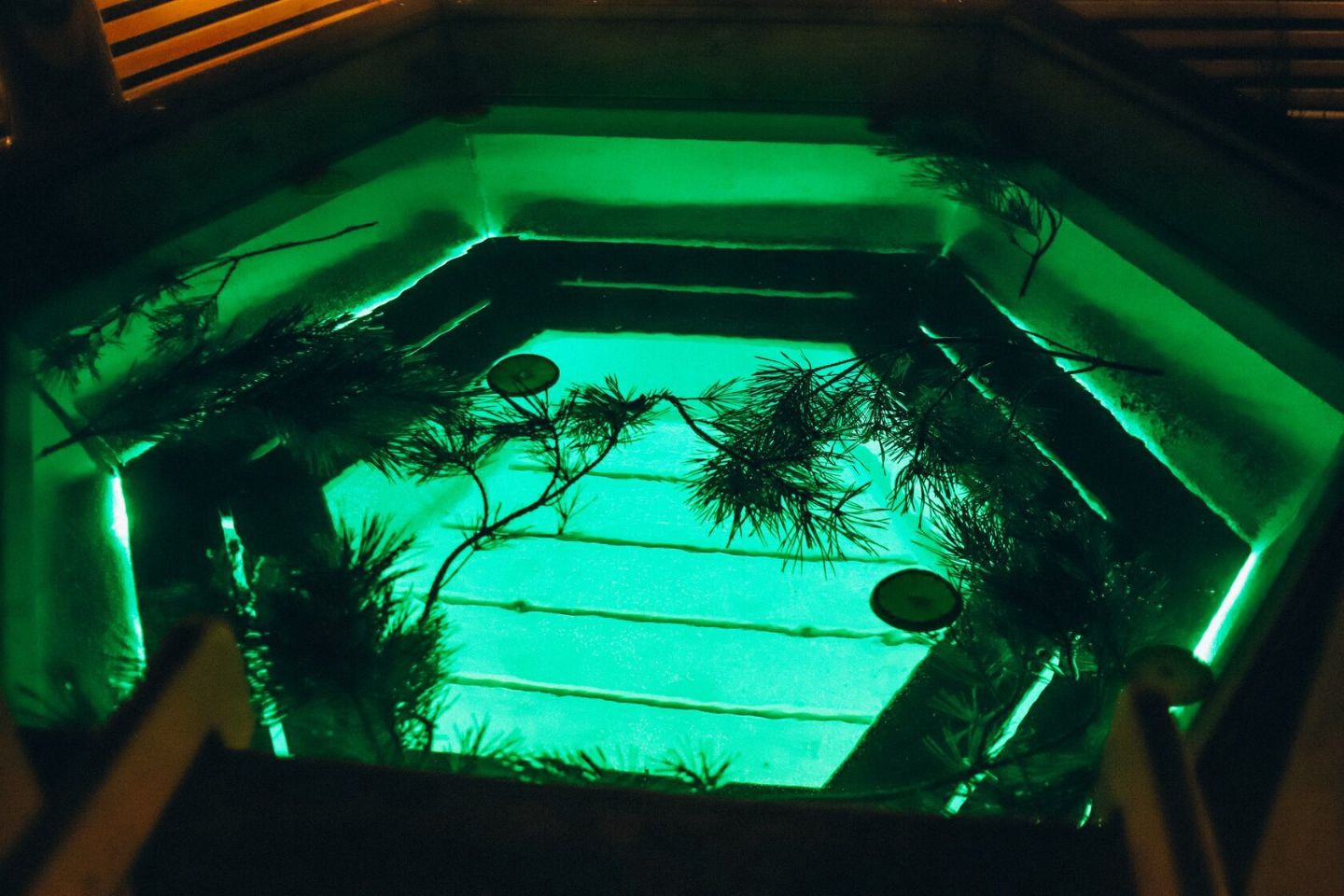 tariff Аренда бани + банный чан