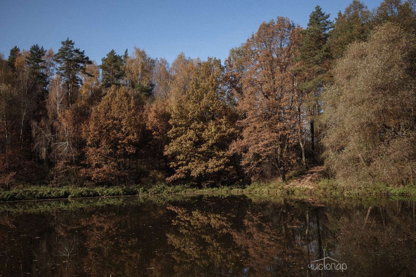 Глэмпинг «Желуди» - фотография Глэмпинг «Желуди»