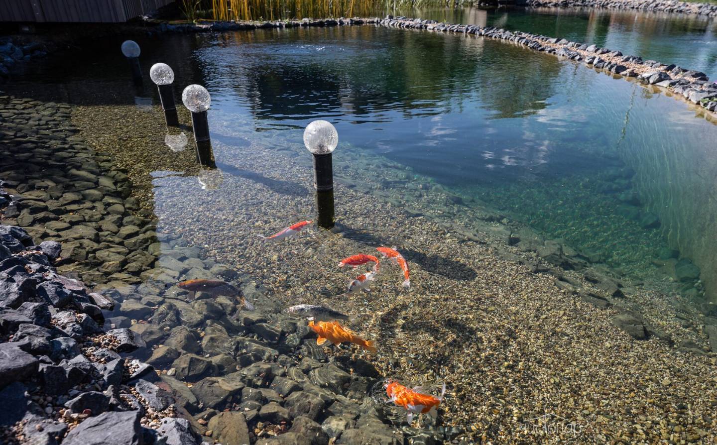 Глэмпинг The Les - фото 4