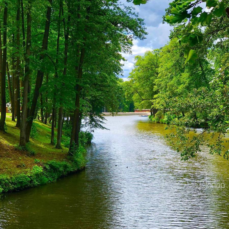 Парк-отель «Розендорф» - фотография Парк-отель «Розендорф»