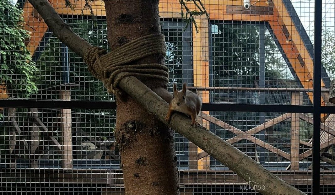 Глэмпинг «Дом в Шалаше» - фото 22