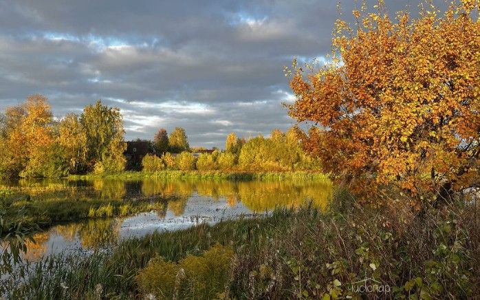 Глэмпинг «Дом в Шалаше» - фото 23