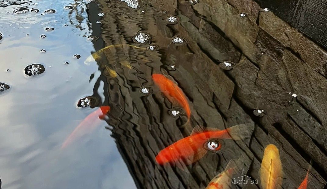 Глэмпинг «Дом в Шалаше» - фото 25