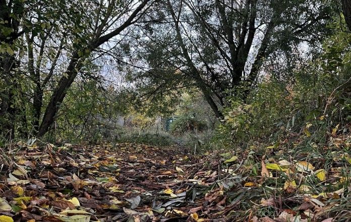 Глэмпинг «Дом в Шалаше» - фото 26