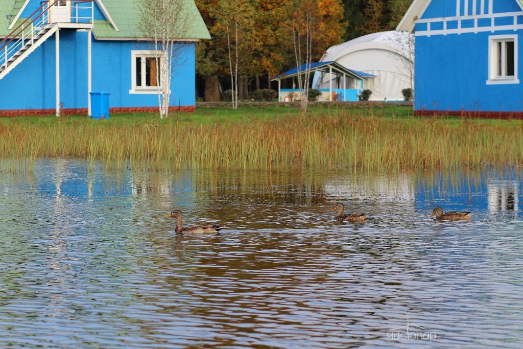 Парк-отель Торбеево озеро - фотография Парк-отель Торбеево озеро