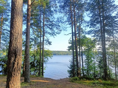 Глэмпинг Zerkalnoe SPA - фото 5