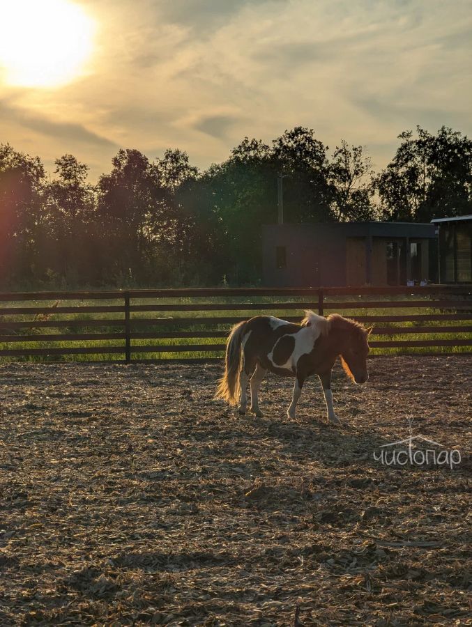Глэмпинг Five Star Place - фото 37