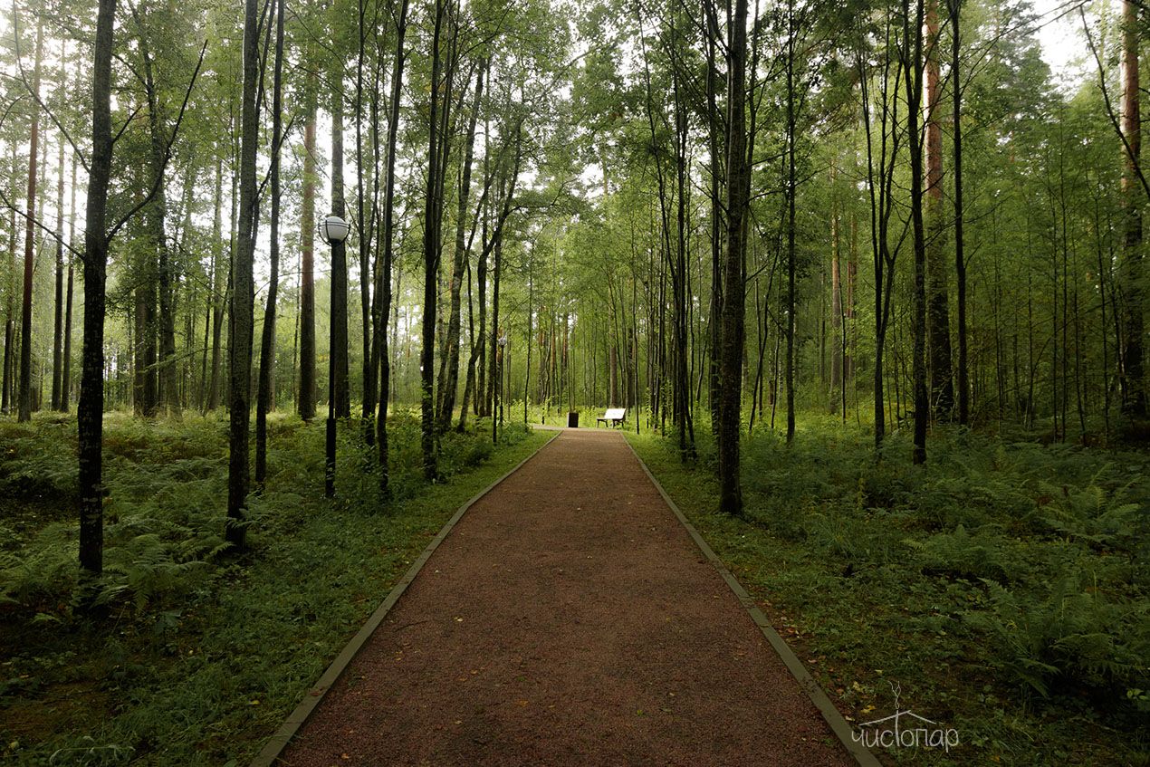 База отдыха «Радуга» - фото 44