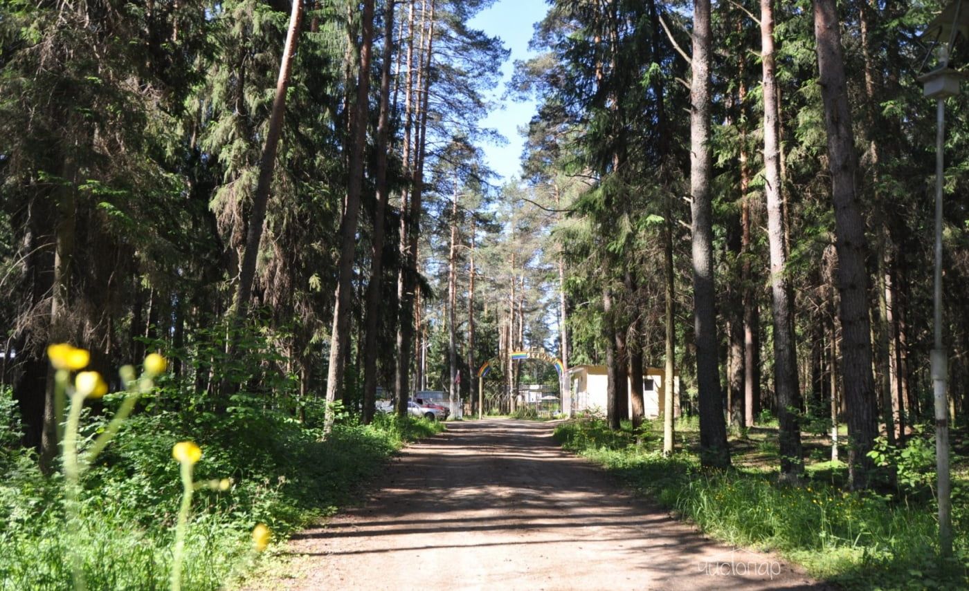 База отдыха «Радуга» - фото 45