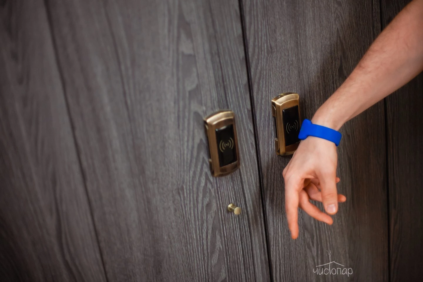 Три Богатыря - фото 36